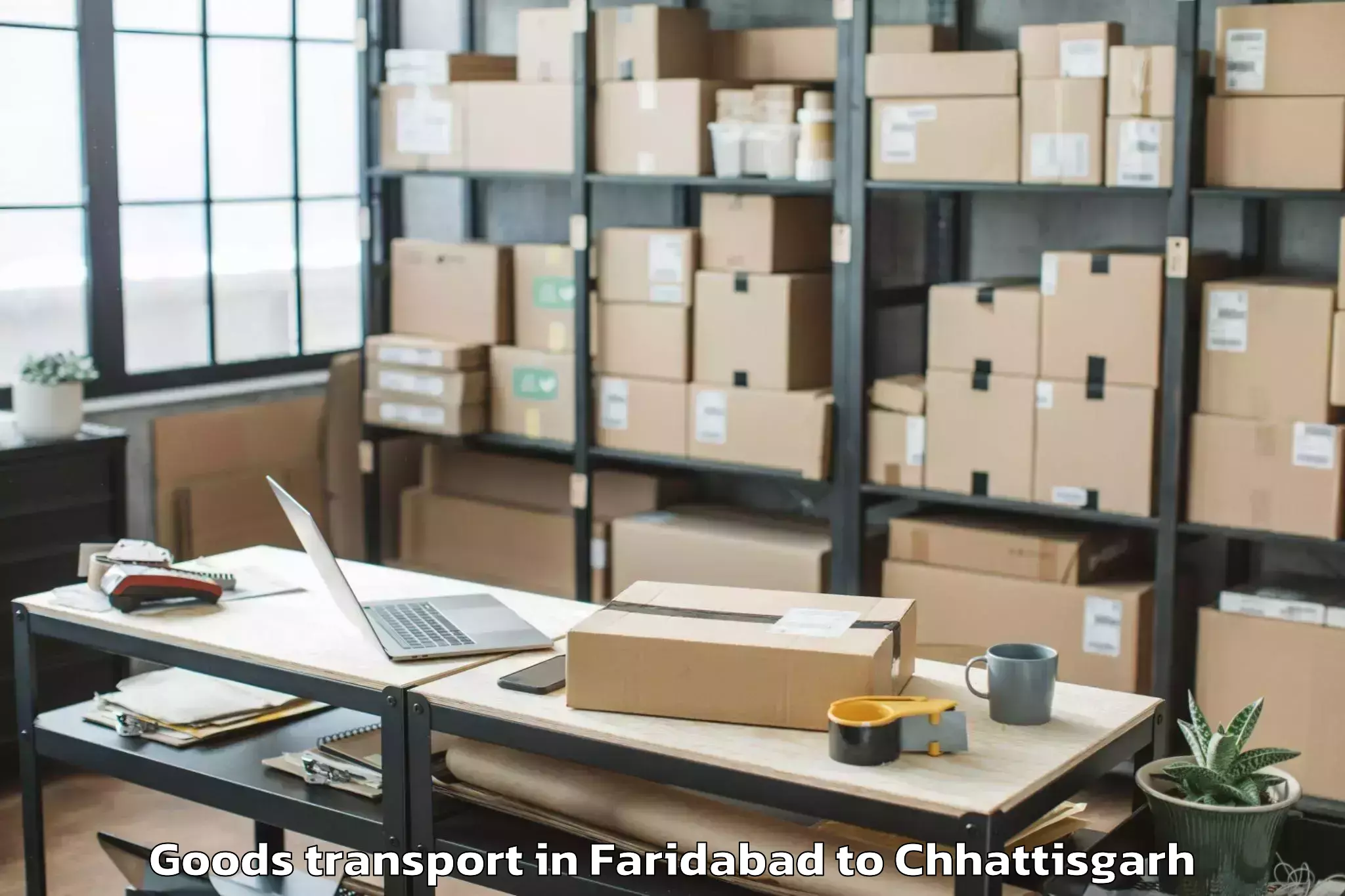 Affordable Faridabad to Rajnandgaon Goods Transport